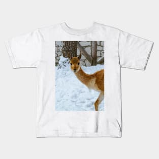 Vicuna starring to the camera Kids T-Shirt